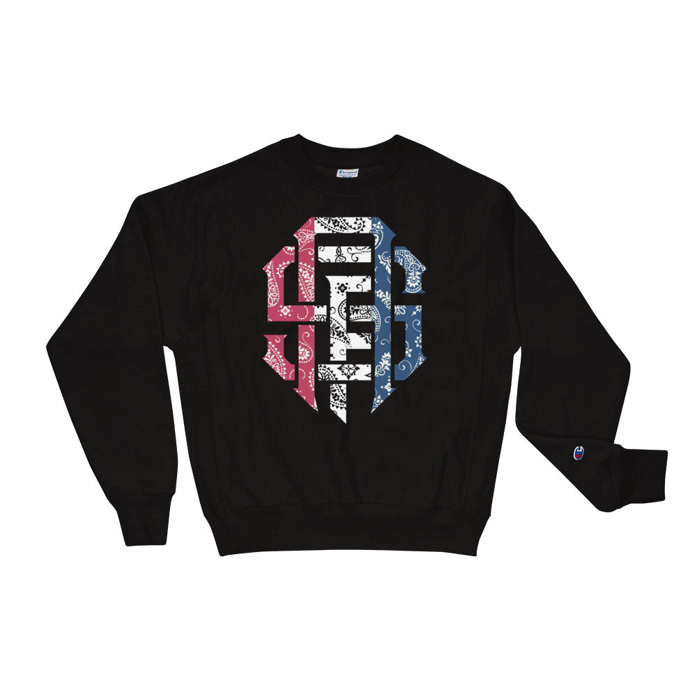 Usa discount champion sweatshirt